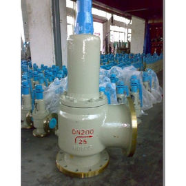 Spring loaded safety valve with lever