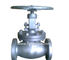 OEM sand casting globe valve solenoid valve
