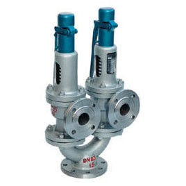 Double spring type safety valve