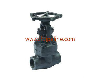 Forged steel globe valve